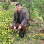 Salih