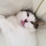 Füsun