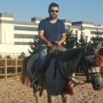 Murat