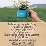 Beyza
