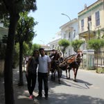 Zafer