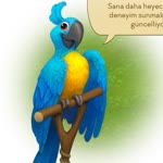 Yaşar
