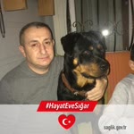 Yilmaz