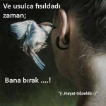 Yıldız