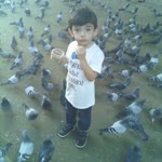 Sibel