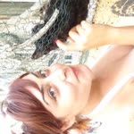 Pelin
