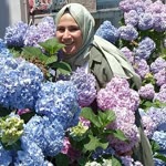 Dilek