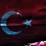 Doğan