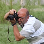 Barış