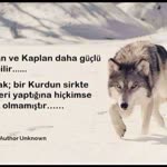 Sabri