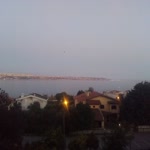 Bedir