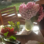 Filiz