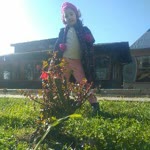 Nur