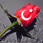 Aybüke