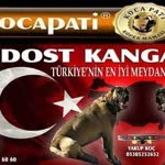 Dostkangalofical
