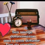Profil fotoğrafı
