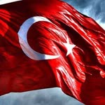 Sarp