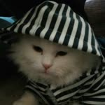 Onur