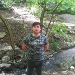Şahin