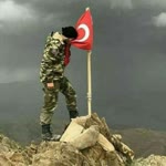 Halil