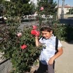 Mustafa