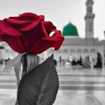 Meral