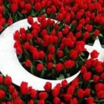 Halil