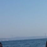 Bulut