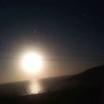 Filiz