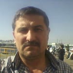 Halis