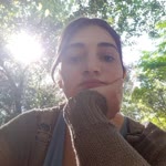 Dicle