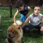 Ercan