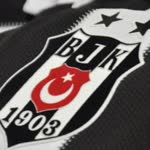 Şahin