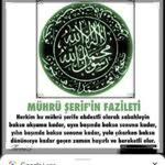 Nazli