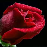 Tugba