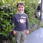 Cihan