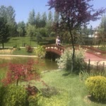 Hatice
