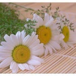 Ebru