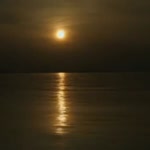 Fırat