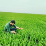 Erdal