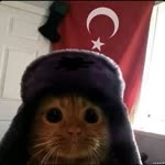 Mikail