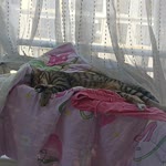 Beyza