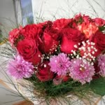 Ayse