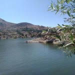 Duygu