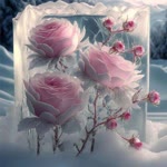 Nigar