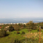Nejla
