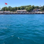 Dünya