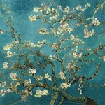 Kübranur