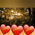Ceren
