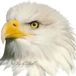 Serdar